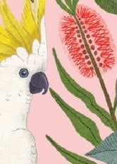 Aussie Squawkers Bookmark