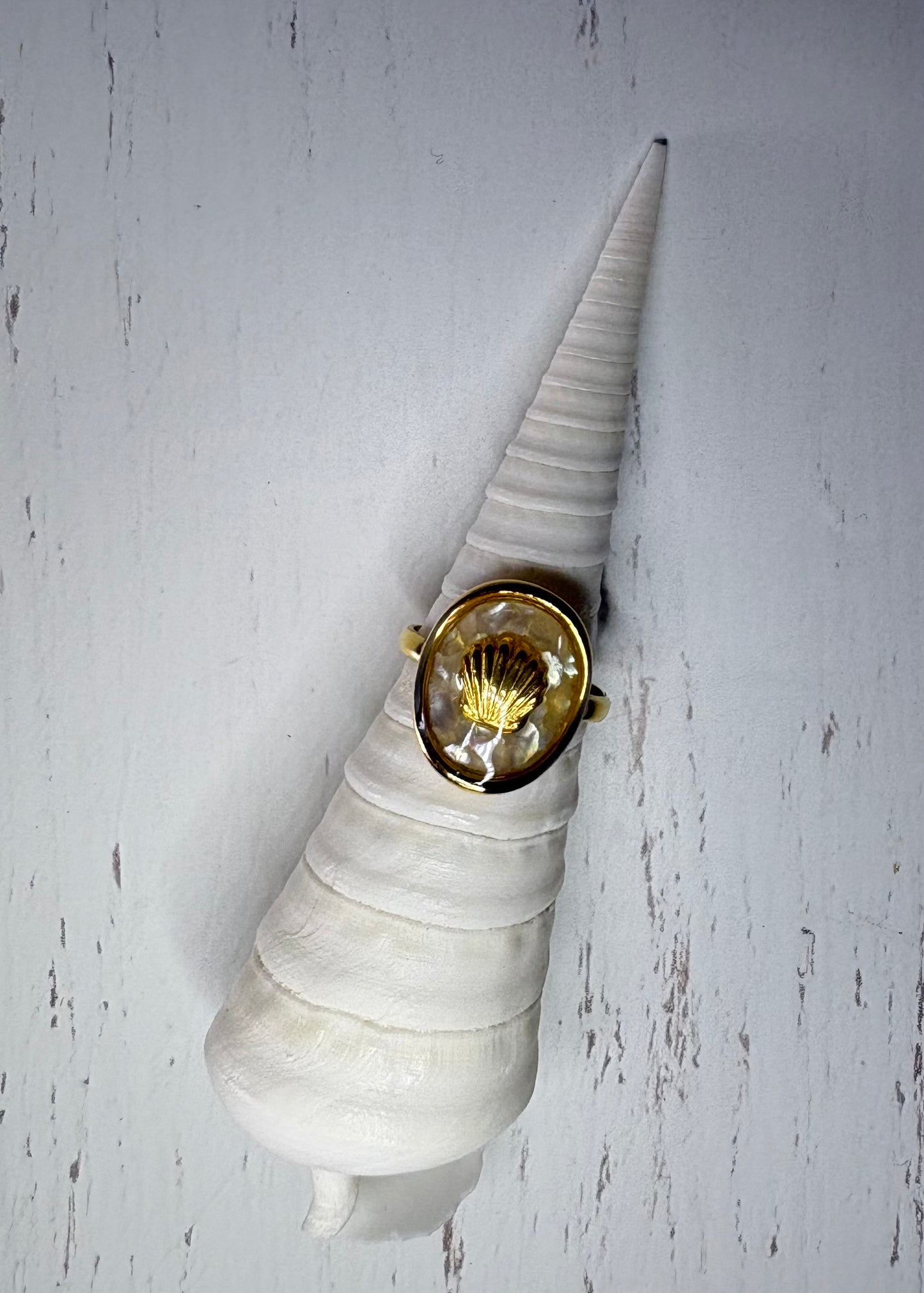 Odysea Shell Ring