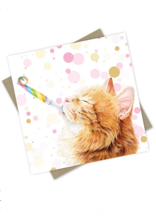 Winnie the Cat Birthday Card