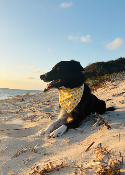 Pet Bandana
