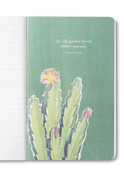 New Hope, New Plan Journal