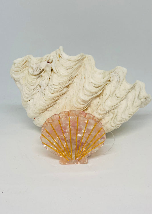 Clam Shell Clip Small