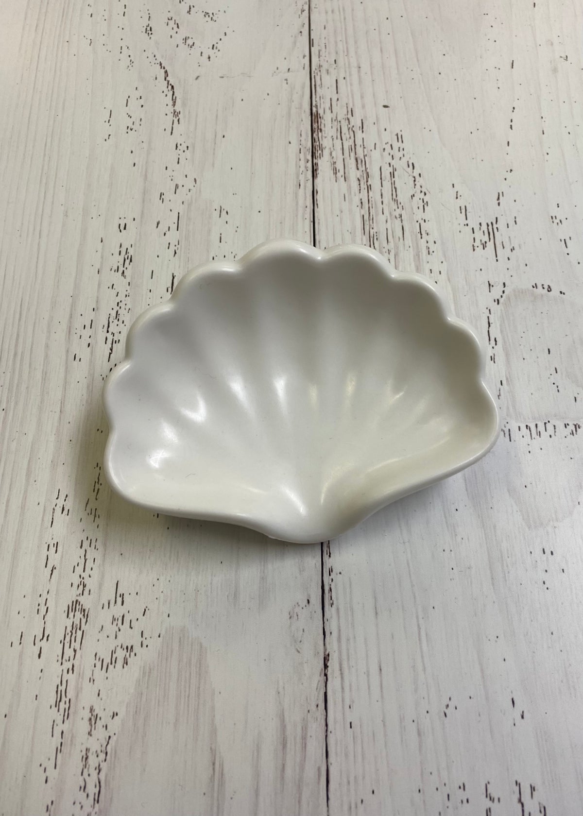 Clam Soap Dish