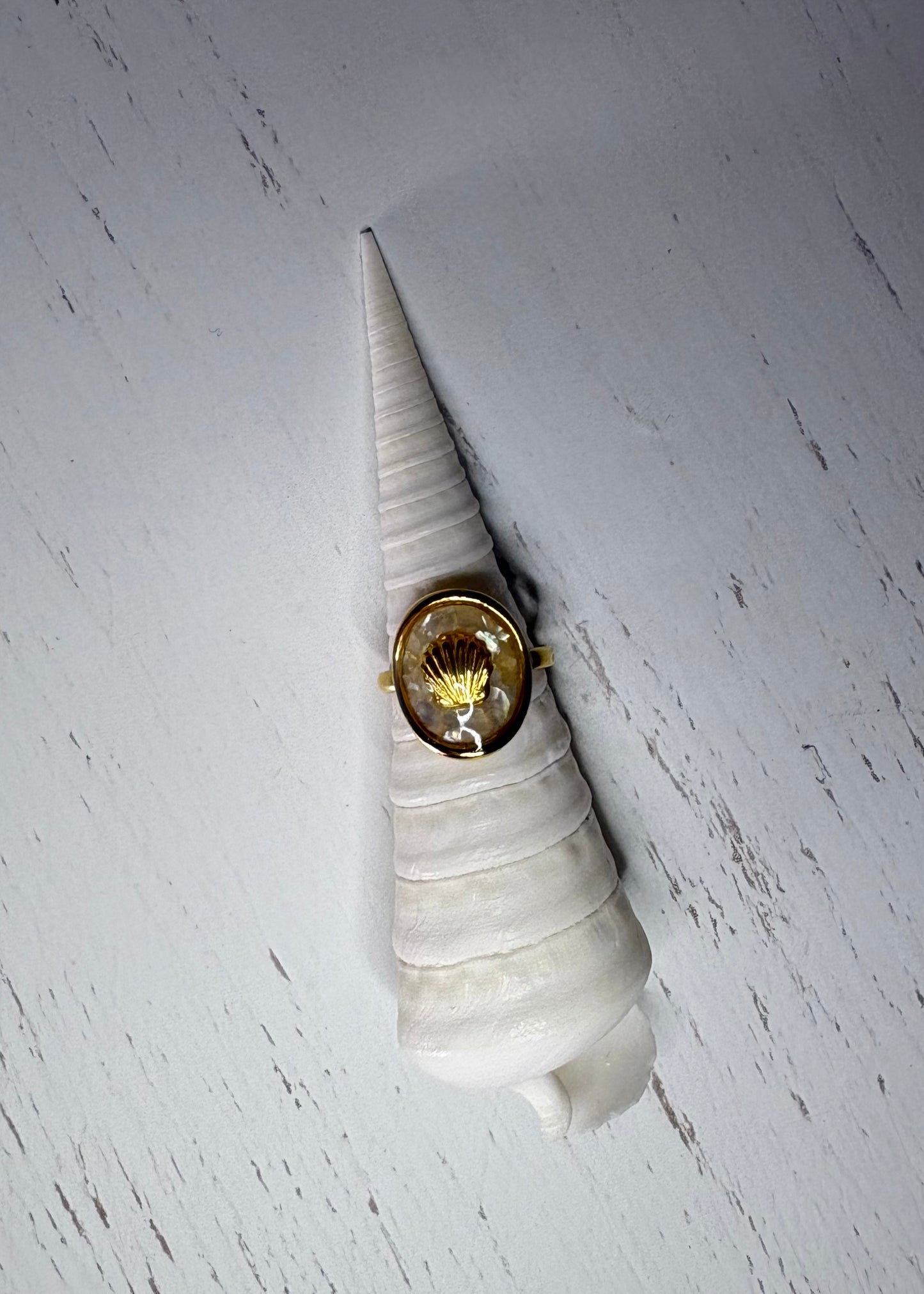 Odysea Shell Ring