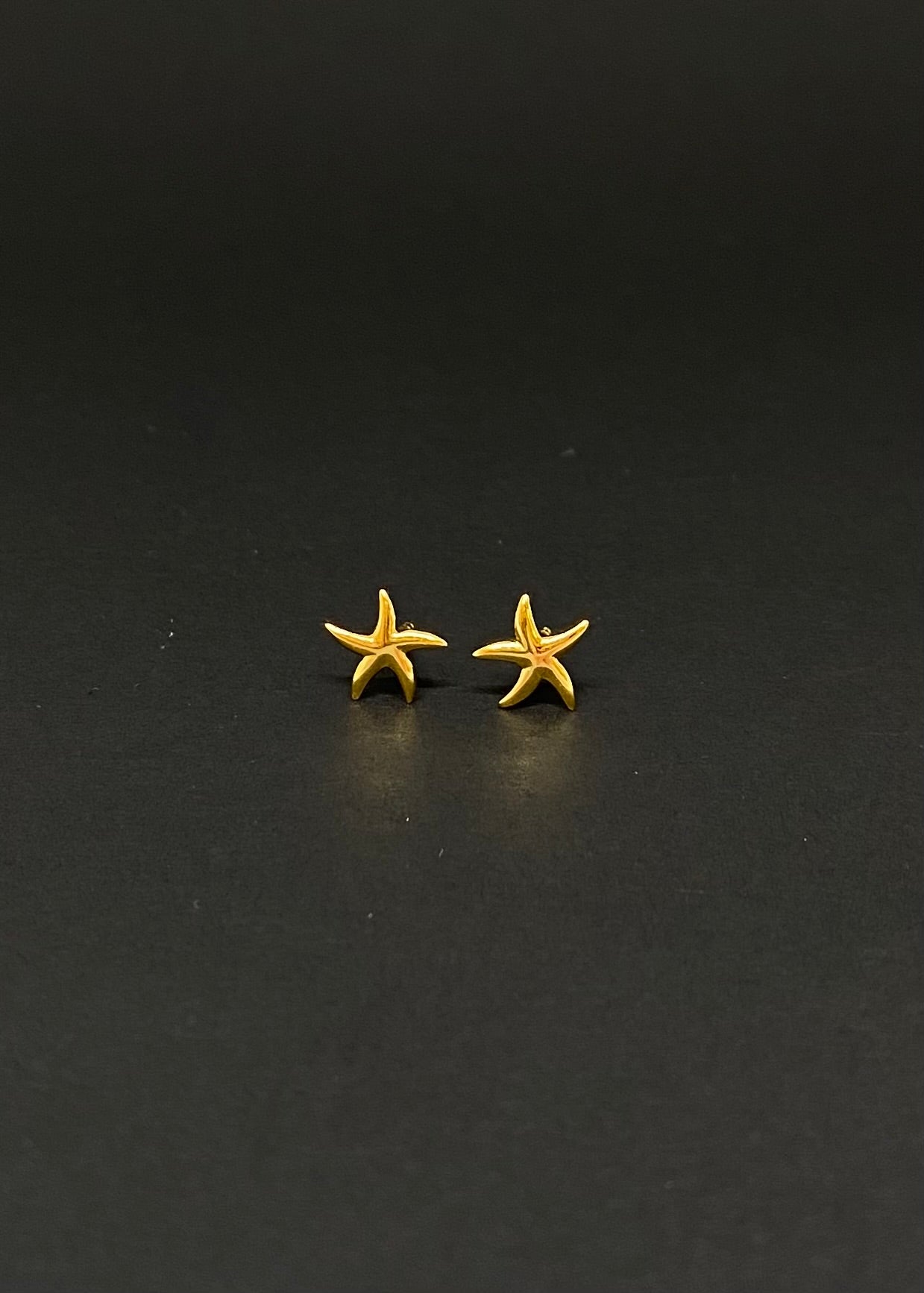 Kailani Silver Starfish Stud Earrings