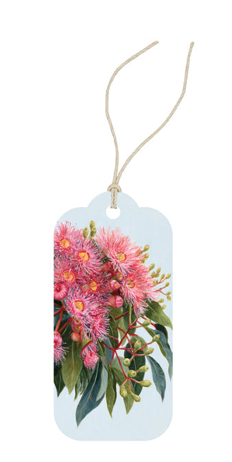 Summer Gumflowers Gift Tag