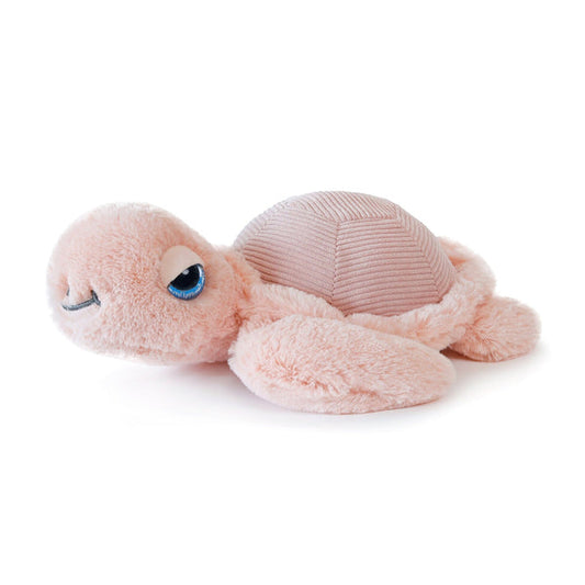 Tori Turtle